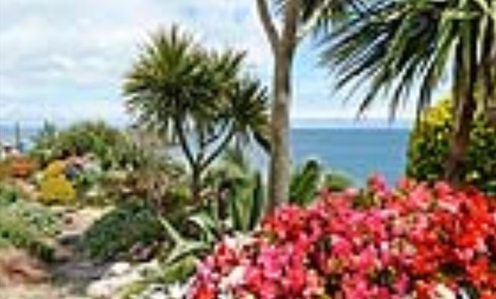 Hotel Garden